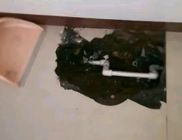 塔城卫生间测漏水多少钱